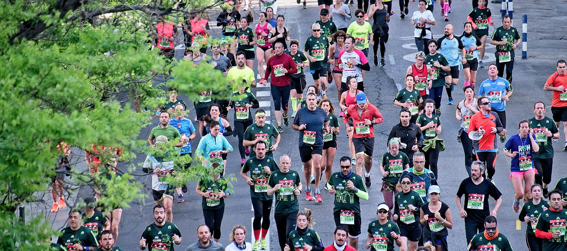 Runners taking part in an organised race run on a grey tarmac road.