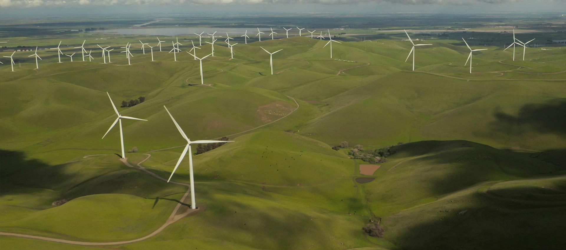 Wind turbines are scattered over a vast green field, gently rotating under a clear sky.