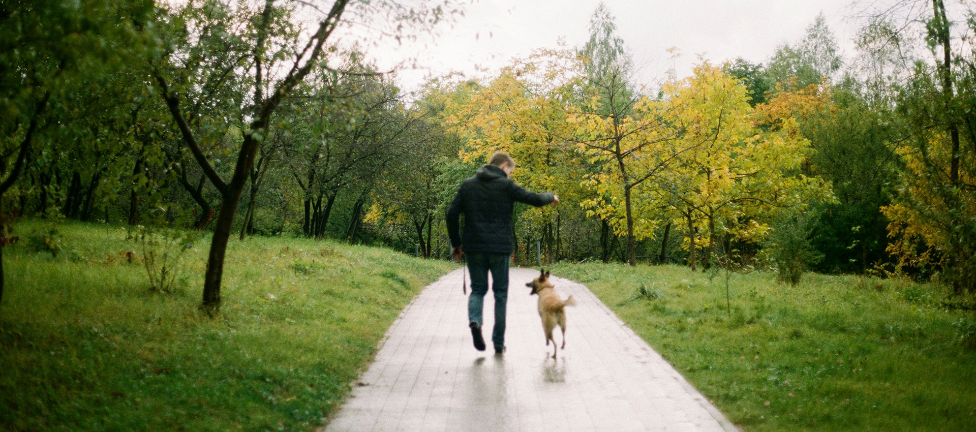 A man walks his dog through a green park on a rainy day.