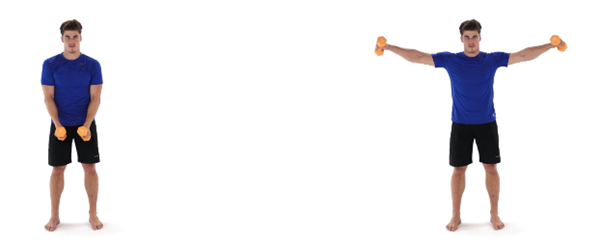 Man stands barefoot on a white background, holding orange dumbbells. In the first position, arms are lowered in front. In the second position, arms are raised laterally to shoulder height.
